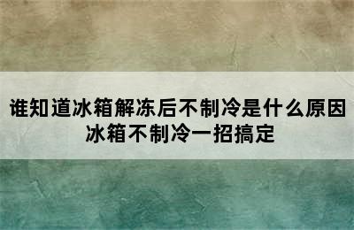 谁知道冰箱解冻后不制冷是什么原因 冰箱不制冷一招搞定